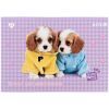 Альбом для рисования Kite Studio Pets, 24 листа (SP25-242) изображение 7
