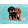 Альбом для рисования Kite Studio Pets, 24 листа (SP25-242) изображение 9