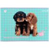 Альбом для рисования Kite Studio Pets, 24 листа (SP25-242) изображение 9