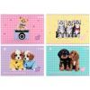 Альбом для рисования Kite Studio Pets, 24 листа (SP25-242)