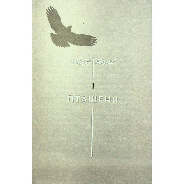 Книга Невпокорене небо - Фонда Лі Жорж (9786178287627) зображення 3