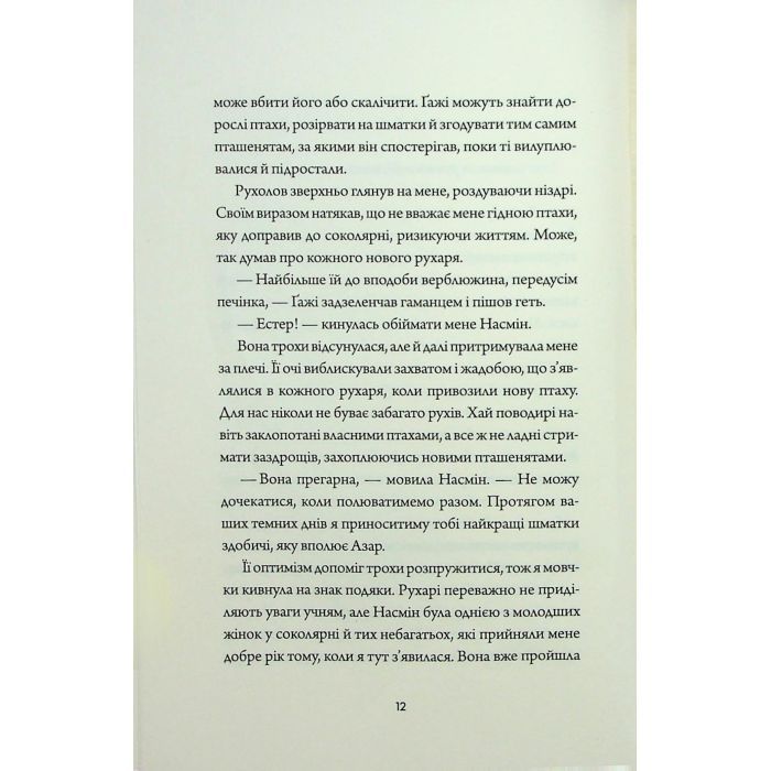 Книга Невпокорене небо - Фонда Лі Жорж (9786178287627) зображення 7