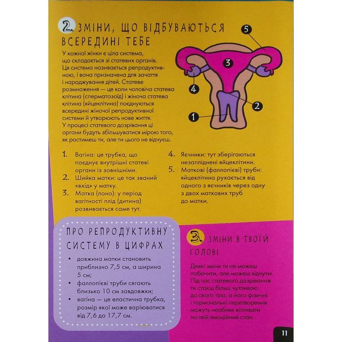 Книга Про це в цифрах. Цікаво про секс і дорослішання - Ліз Флейвел Ранок (9786170971043) зображення 12
