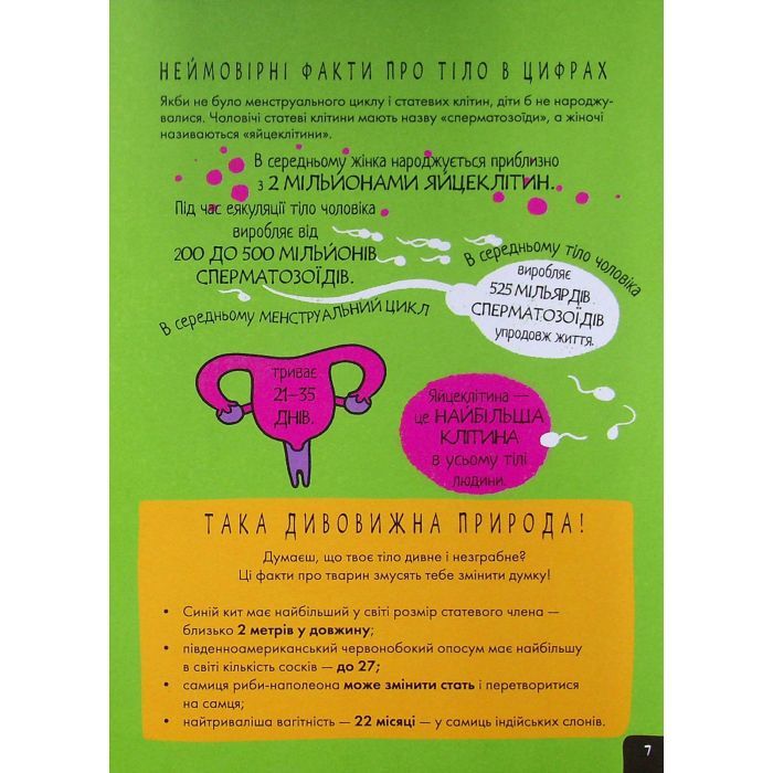 Книга Про це в цифрах. Цікаво про секс і дорослішання - Ліз Флейвел Ранок (9786170971043) зображення 8