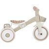 Дитячий велосипед Globber Learning trike plus 2 в 1 кокосовий (737-466) зображення 11