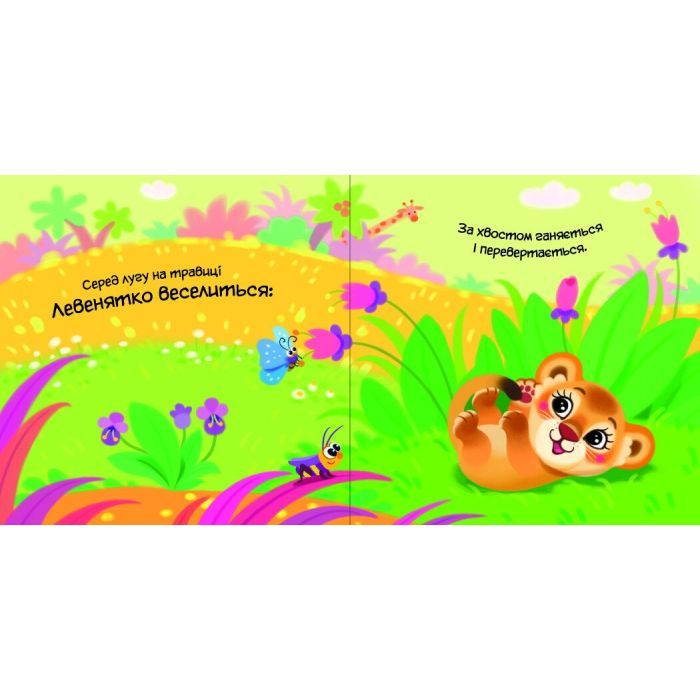 Книга Моя люба папужка - Ірина Сонечко Ранок (9786170992291) зображення 3