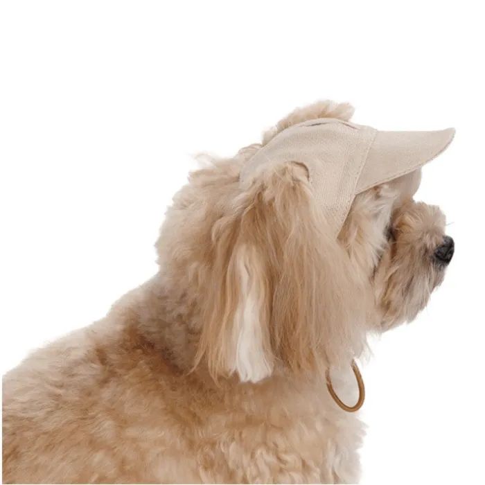 Кепка для животных Pet Fashion Glamor ХL (4823082445875) изображение 4