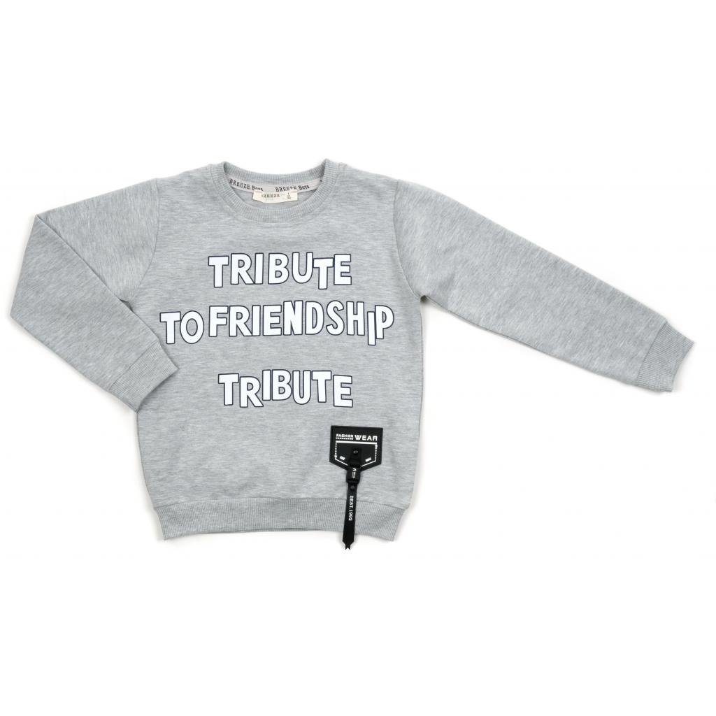Набор детской одежды Breeze "FRIENDSHIP" (14775-104B-gray) изображение 2