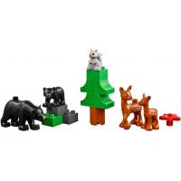 Конструктор LEGO Education DUPLO Мир животных (45029) зображення 4