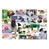 Пазл Educa Пазл "60"- Кошачий мир (6336333) изображение 2