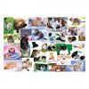 Пазл Educa Пазл "60"- Кошачий мир (6336333) изображение 2