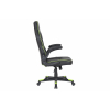 Кресло игровое 2E GAMING HEBI Black/Green (2E-GC-HEB-BK) изображение 4