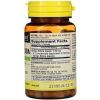 Травы Mason Natural Гинкго Билоба, Ginkgo Biloba, 90 капсул (MAV17739) изображение 2