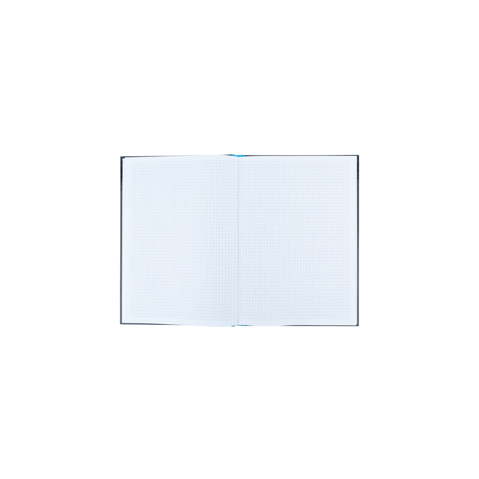 Книга записна Axent Colors А4, 80 аркушів, клітинка, блакитна (8421-05-A) зображення 5