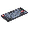 Клавіатура Keychron V1 84 Key QMK Gateron G PRO Brown Hot-Swap RGB Frosted Black (V1A3_KEYCHRON) зображення 3