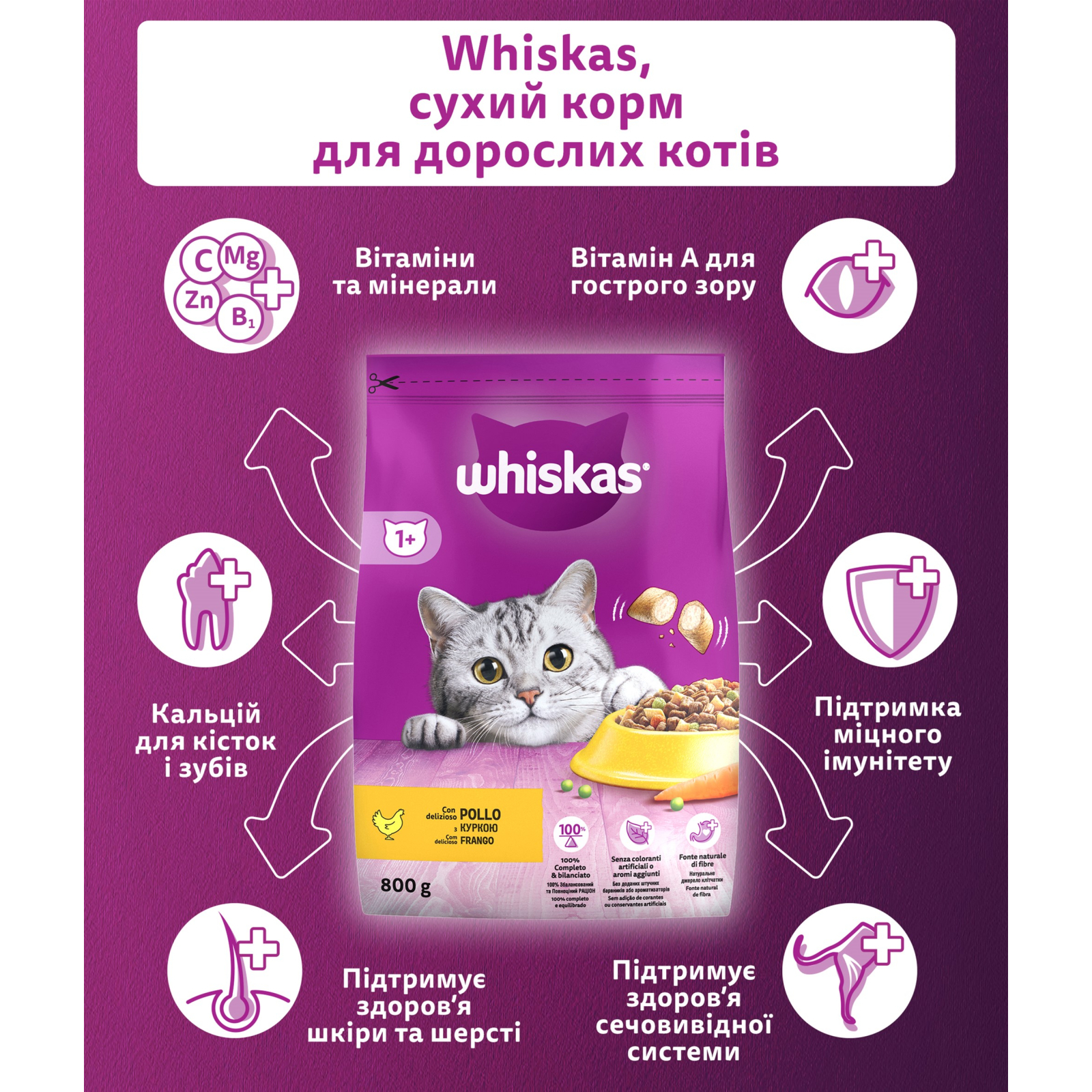 Сухий корм для кішок Whiskas з куркою 800 г (5998749144367) зображення 2
