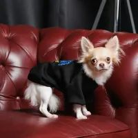 Толстовка для тварин Pet Fashion Ukraine XS2 (4823082431236) зображення 3