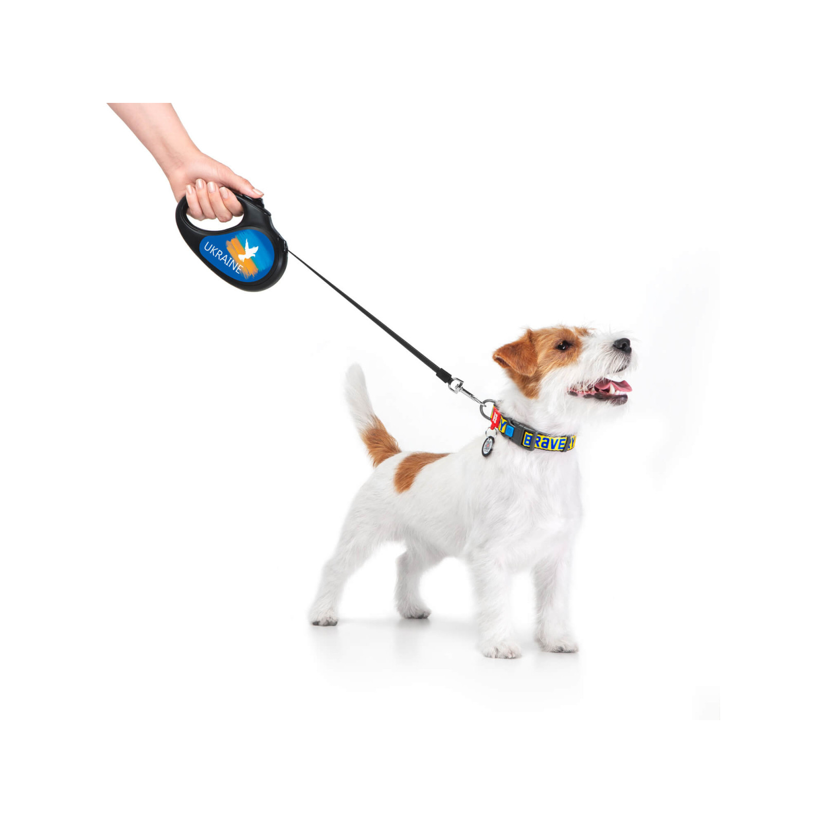 Поводок для собак WAUDOG R-leash "Флаг" XS до 12 кг 3 м черный (8123-0229-01) изображение 7