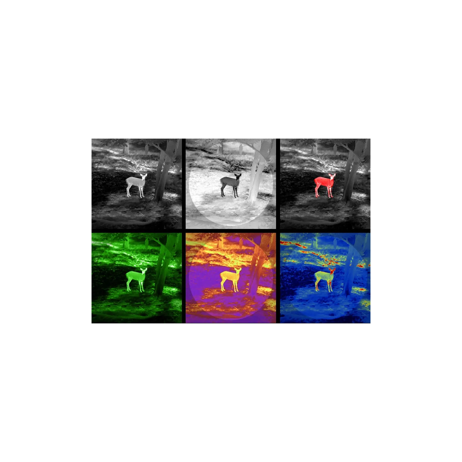 Монокуляр Guide Тепловізійний TrackIR Pro 50mm, 640x480, 2,9-23,2x, 3300м (TrackIRPro50mm) изображение 6