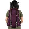Рюкзак туристический Osprey Sportlite 25 blue sky S/M (009.3038) изображение 6