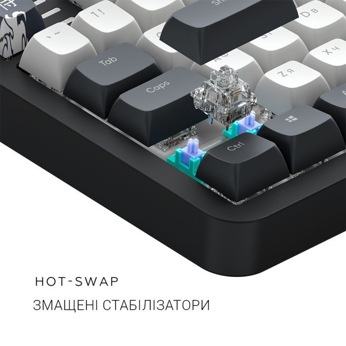 Клавиатура Dark Project ALU87 Bushido ABS RGB Mech G3MS Moonstone Black/White (DPKB_BUSHIDO_87_ANSI_UA) изображение 8