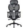 Крісло ігрове Canyon Ventra MOCH01 Mesh Black (CNS-MOCH01) зображення 5