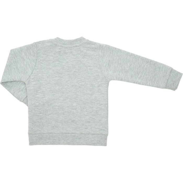 Спортивный костюм детский Breeze с тигриком (22128-80B-gray) изображение 5