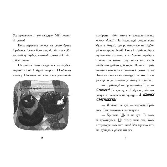 Книга Тото. Кішка-ніндзя та велика втеча змія. Книга 1 - Дермот О'Лірі Ранок (9786170974310) зображення 11