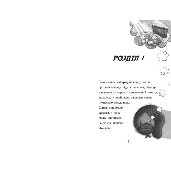 Книга Тото. Кішка-ніндзя та велика втеча змія. Книга 1 - Дермот О'Лірі Ранок (9786170974310) зображення 9