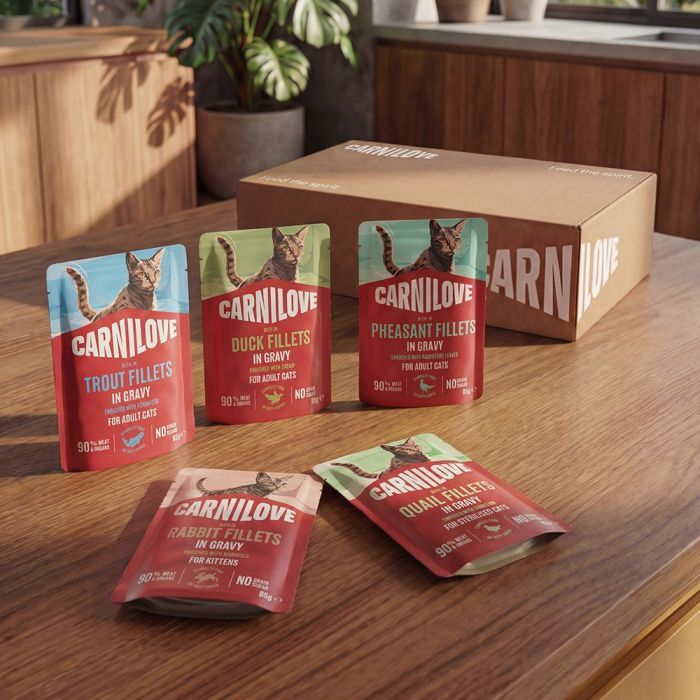 Вологий корм для кішок Carnilove Gravy Trout with Echinacea 85 г (8595602584680) зображення 5