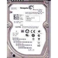 Жесткий диск 3.5"  250Gb Seagate (ST250DM000)