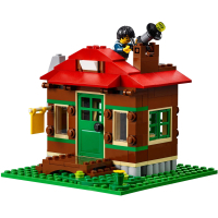 Конструктор LEGO Creator Домик на берегу озера (31048) изображение 5