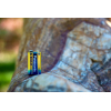 Батарейка Panasonic Крона 6LR61 Evolta * 1 (6LR61EGE/1BP) зображення 4