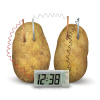 Набор для экспериментов 4М Картофельные часы (00-03275) изображение 3