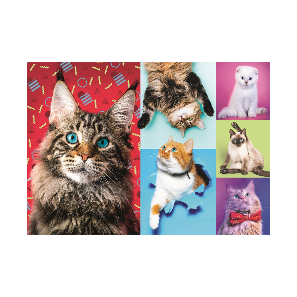 Пазл Trefl Веселые коты, 1000 элементов (6336395) изображение 2