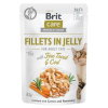 Влажный корм для кошек Brit Care Cat pouch 85 г (треска и форель в желе) (8595602540587)