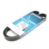 Поликлиновый ремень DAYCO 6PK986