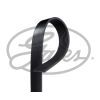 Поліклиновий ремінь Gates 8PK850