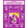 Сухой корм для кошек Whiskas с курицей 300 г (5998749144039/5900951014055) изображение 4