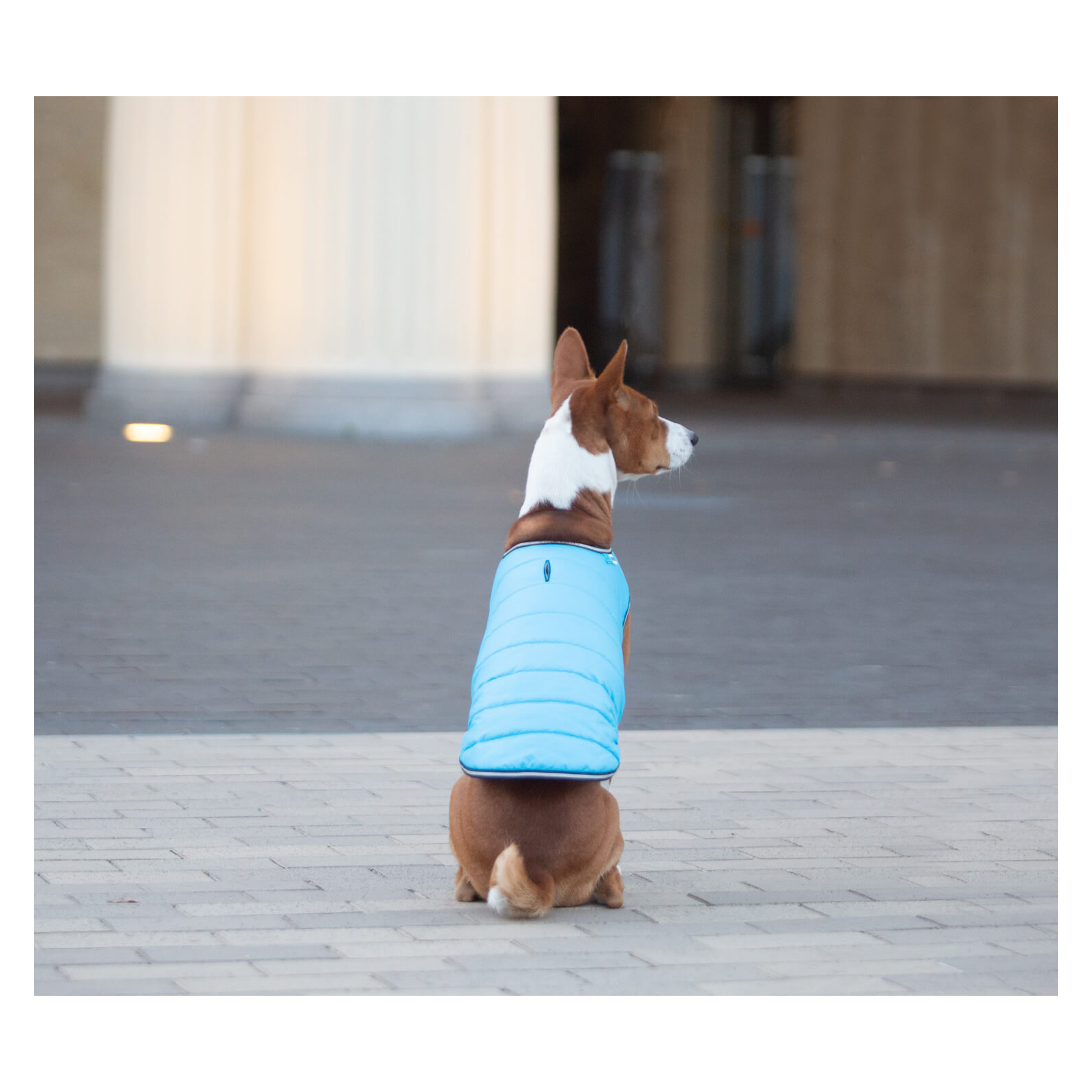 Курточка для животных Airy Vest XXS фиолетовая (15409) изображение 6