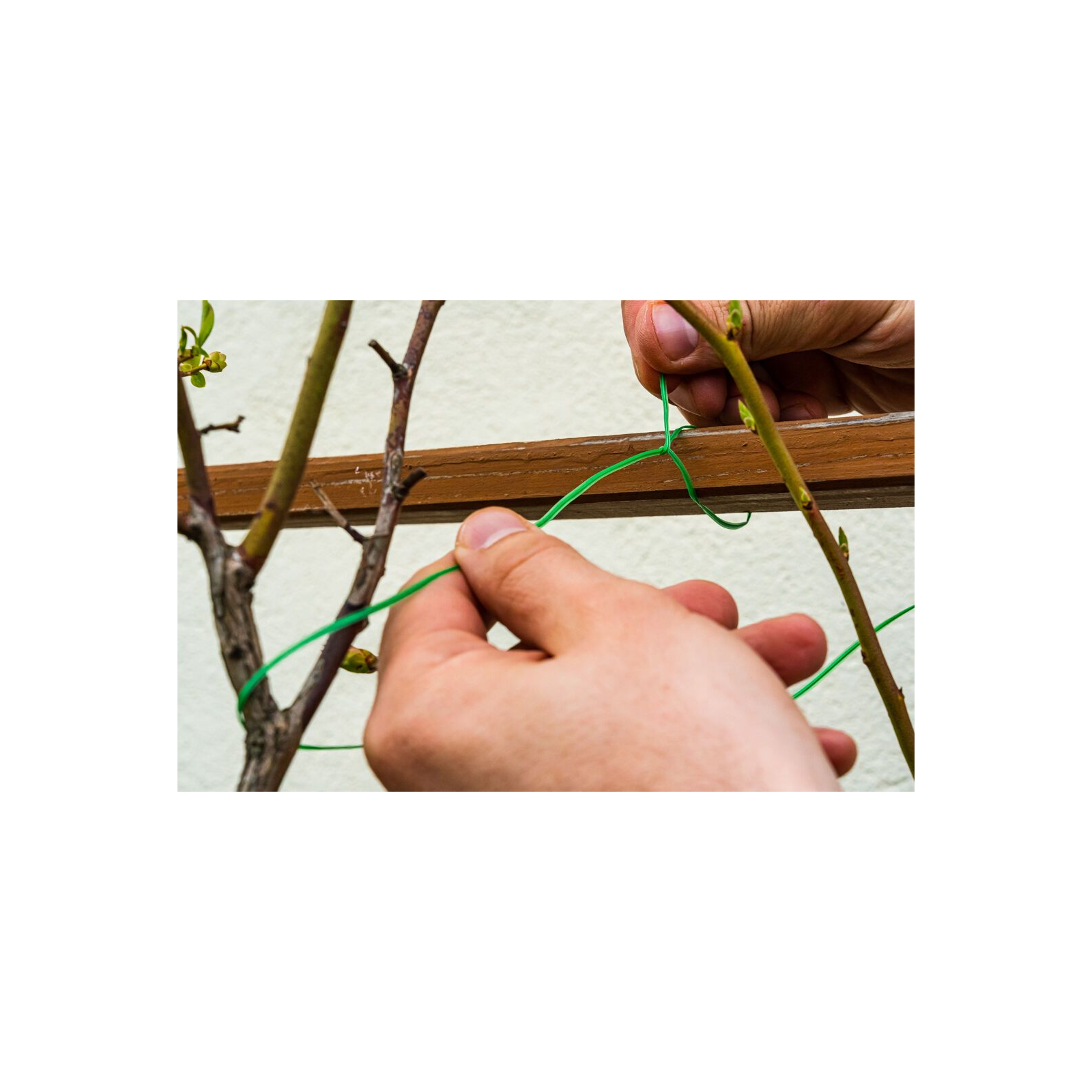 Садовое ограждение Verto проволока, ПВХ-оболочка, с обрезчиком, 0.15смх50м, зеленый (15G530) изображение 2