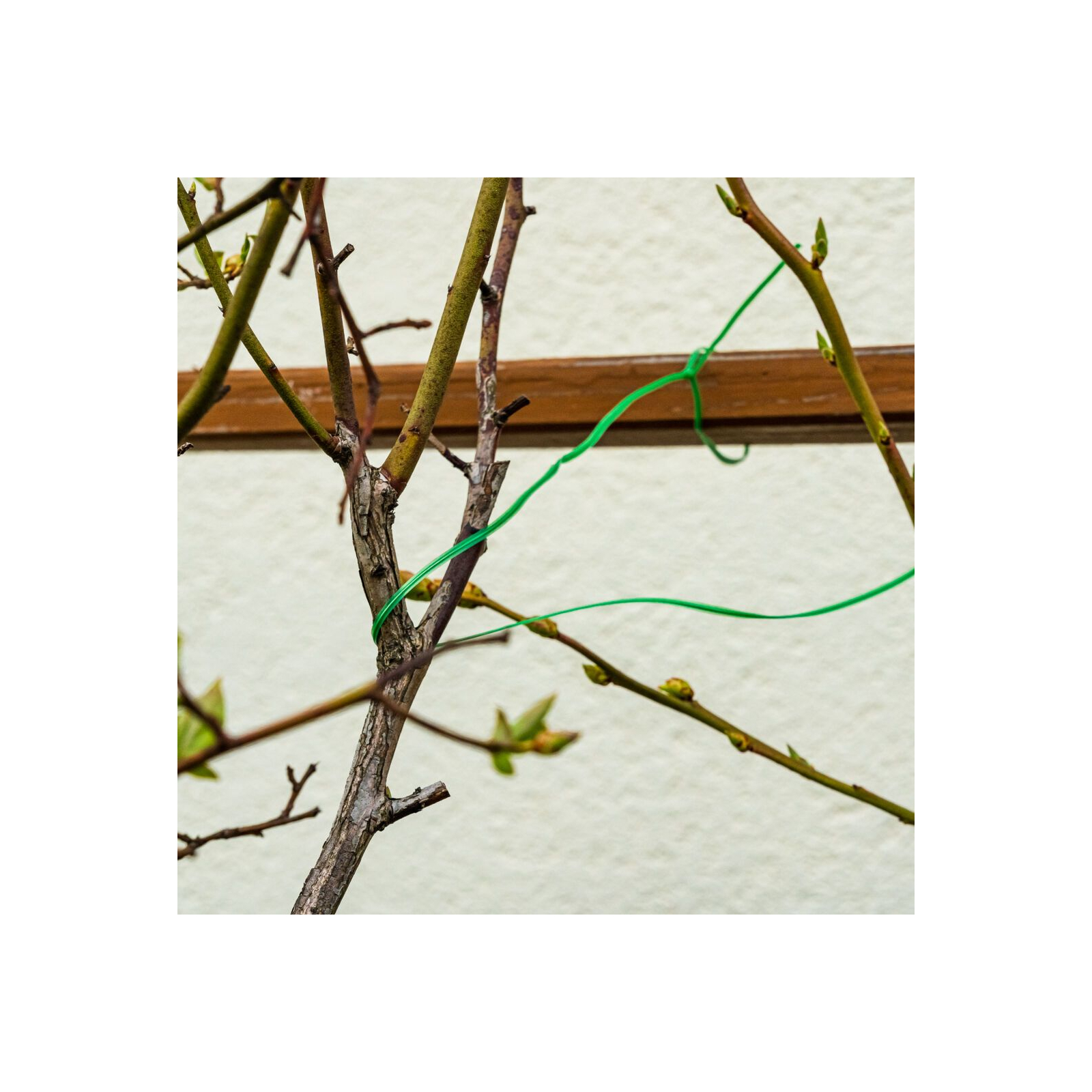 Садовое ограждение Verto проволока, ПВХ-оболочка, с обрезчиком, 0.15смх50м, зеленый (15G530) изображение 4