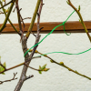 Садовое ограждение Verto проволока, ПВХ-оболочка, с обрезчиком, 0.15смх50м, зеленый (15G530) изображение 4