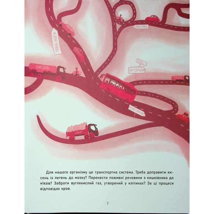 Книга Таємниці крові - Войцех Грайковський Ранок (9786170993779) зображення 8