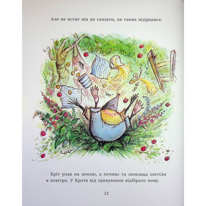 Книга Щасливі дні Миша і Крота - Джойс Данбар Ранок (9786170994561) зображення 12
