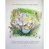 Книга Щасливі дні Миша і Крота - Джойс Данбар Ранок (9786170994561) зображення 12