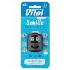 Ароматизатор для автомобиля VITOL Smile Blue Ocean 4мл (VS01)