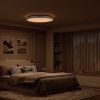 Светильник Yeelight Ceiling Light Jupiter DC600 White (YLXDD-0273) изображение 4