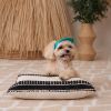 Кепка для животных Pet Fashion Topaz L (4823082445981) изображение 6