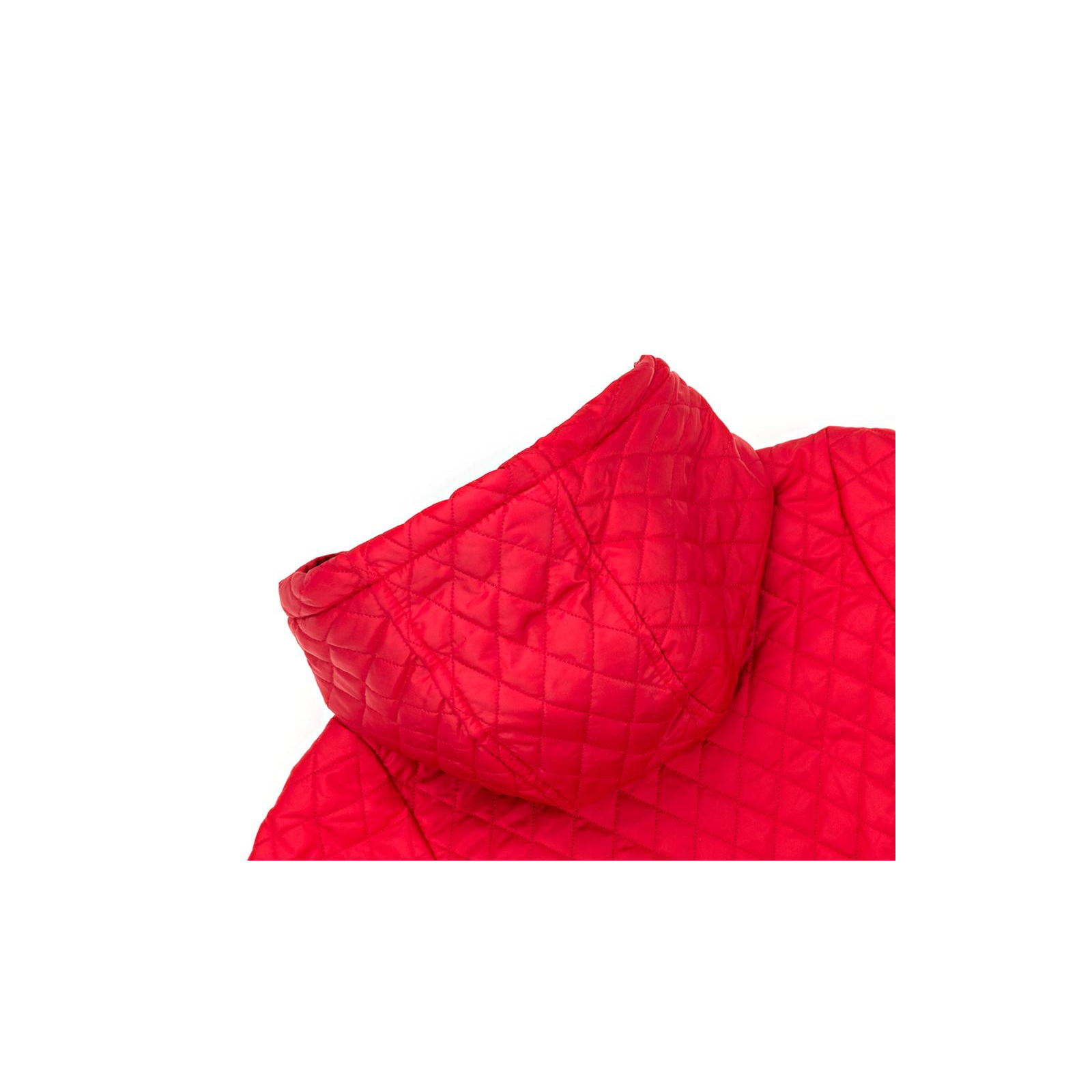 Куртка Verscon стеганая с капюшоном (3439-110B-red) изображение 6